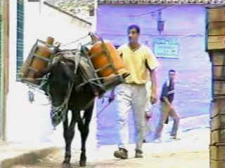 COMERCIO - BUTANERO BURRO